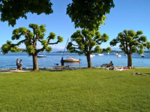 Ufer in Tutzing am Starnberger See