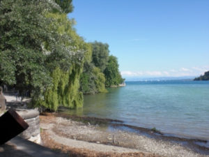 Bodensee-Ufer