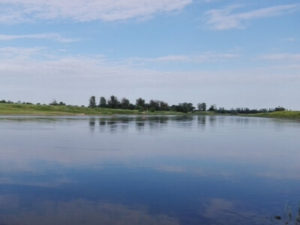 Typische Elblandschaft bei den Elbe-Radreisen