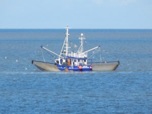 Krabbenfischer vor Cuxhaven