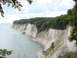 Kreidefelsen im Nationalpark Jasmund auf Rügen